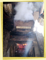 �y�N��M�t�g�������z