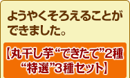 最高に贅沢な干し芋です! わずか数軒のほしいも農家でしか作っていない